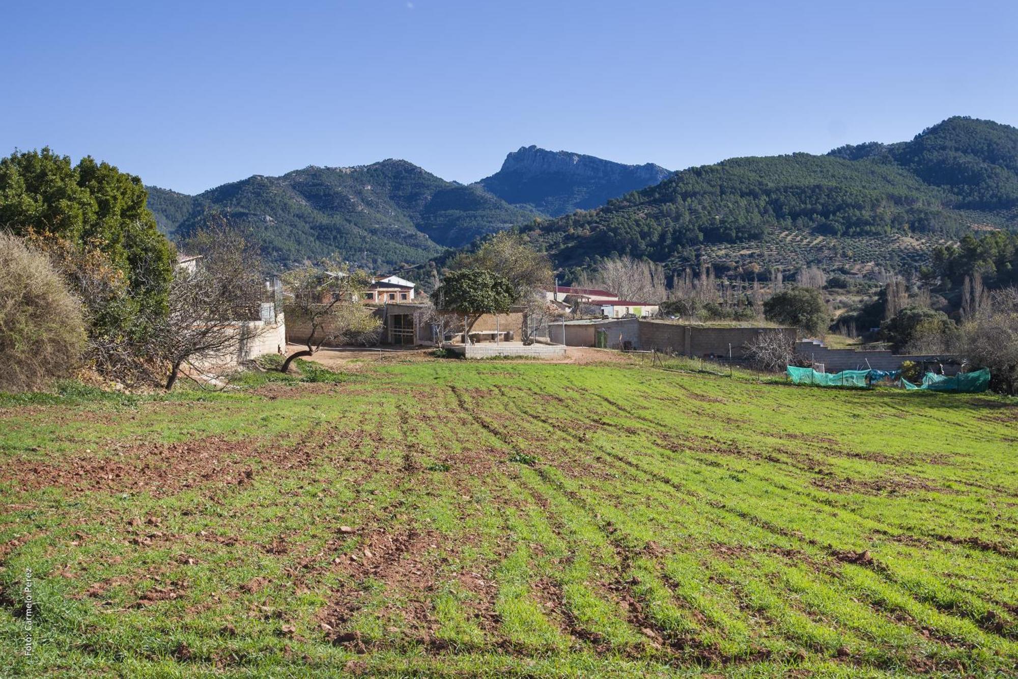 Casa Rural Chache Casto Bienservida Exterior foto